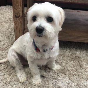 Meet your Posher, Maria